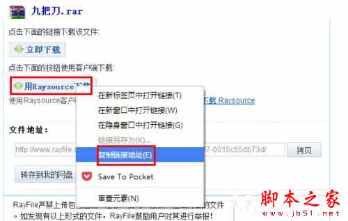 Raysource RayFile网盘专用文件下载器怎么用 Raysource使用教程
