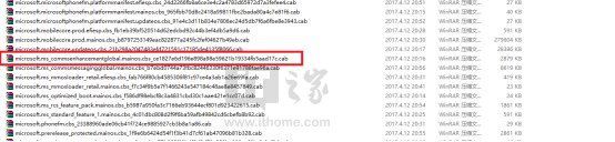 Win10 Mobile一周年更新14393.1066离线更新包V11发布