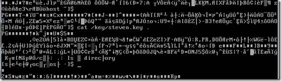 Linux 文件安全之随机数生成器 李晓辉
