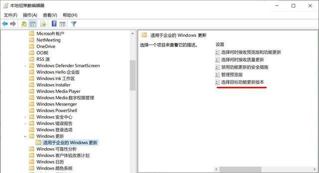 Win10如何关闭自动更新 阻止电脑自动升级到Win10 21H1版本方法