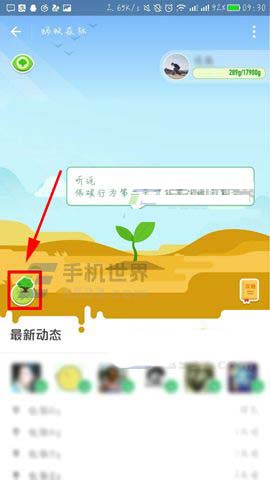 支付宝蚂蚁森林怎么查看阿拉善地区模拟地图?