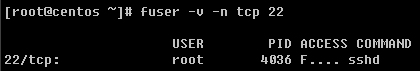 在Linux上如何使用fuser工具来查询文件的用户