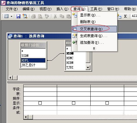 利用access的交叉表进行可观性查询的方法
