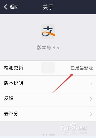 支付宝怎么查看版本？支付宝钱包检查更新并升级的方法