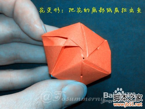 魔术玫瑰花折纸教程