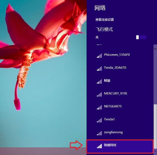 隐藏网络怎么连接？Win8.1系统连接隐藏SSID网络的方法图解