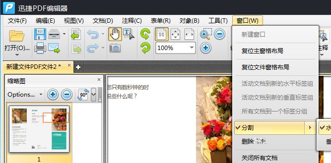 PDF编辑器中对显示页面的分割方法