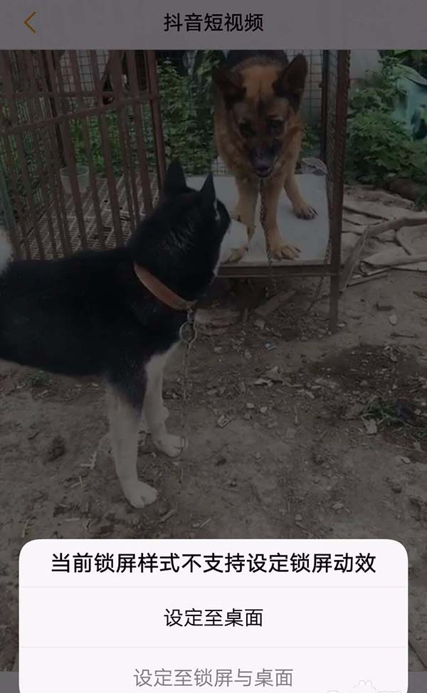 抖音小视频怎么设置为手机动态壁纸?