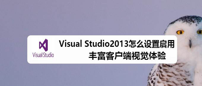VS2013丰富客户端视觉体验功能怎么使用?