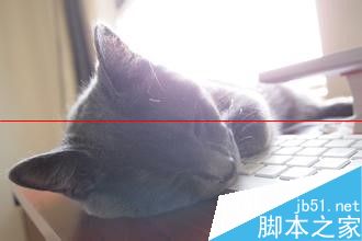 小米手环怎么记录睡眠质量？