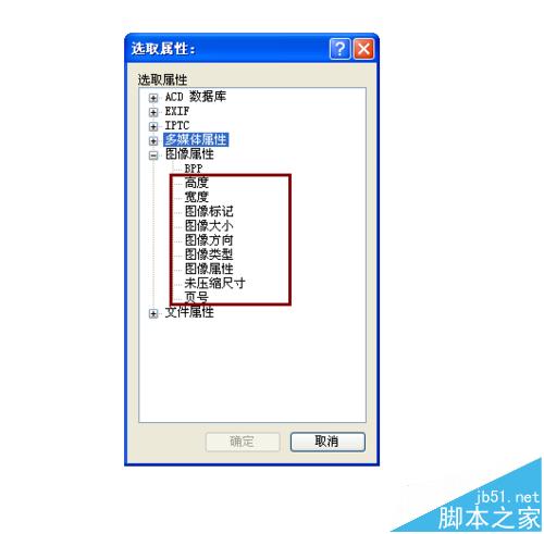 acdsee中怎么设置图片的排序方式?