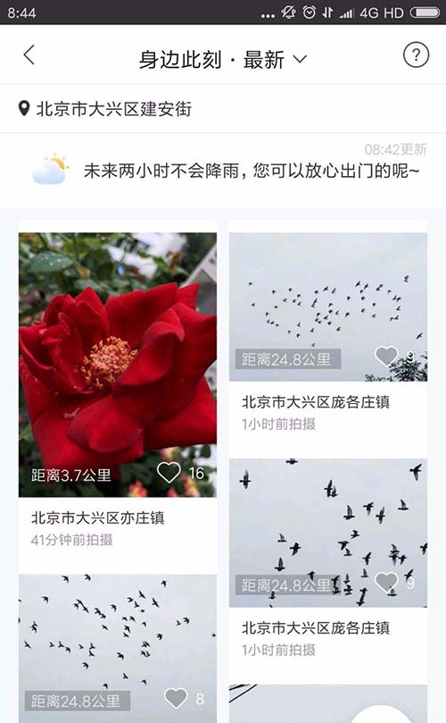 墨迹天气app怎么分享实景?