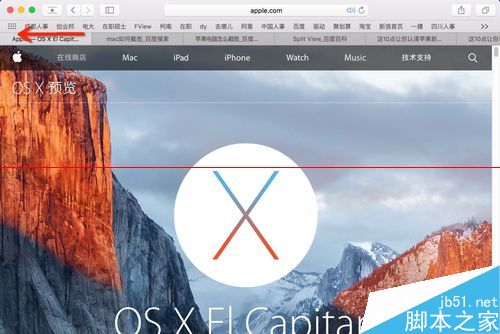 Mac怎么使用Safari一键静音和网页标签固定功能？