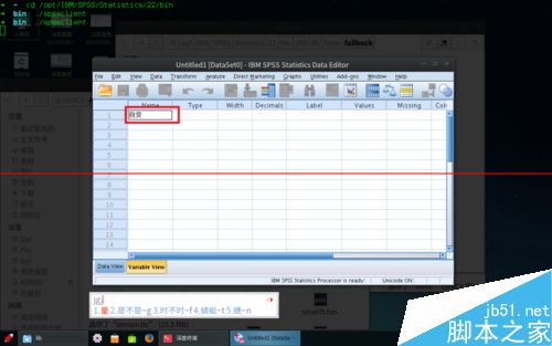 Linux Deepin安装SPSLinux激活出现中文乱码怎么办？