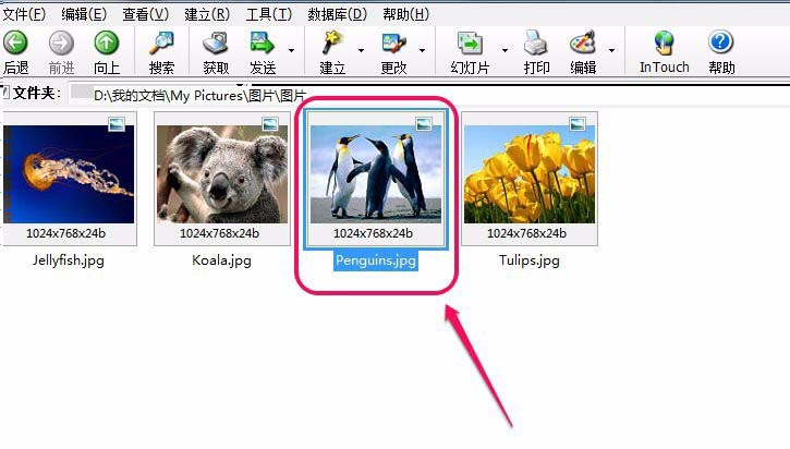 acdsee图片怎么添加音频音乐?