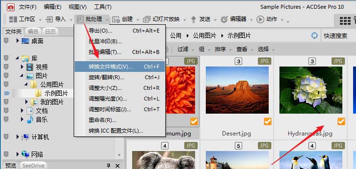acdsee怎么怎么批量压缩图片大小?