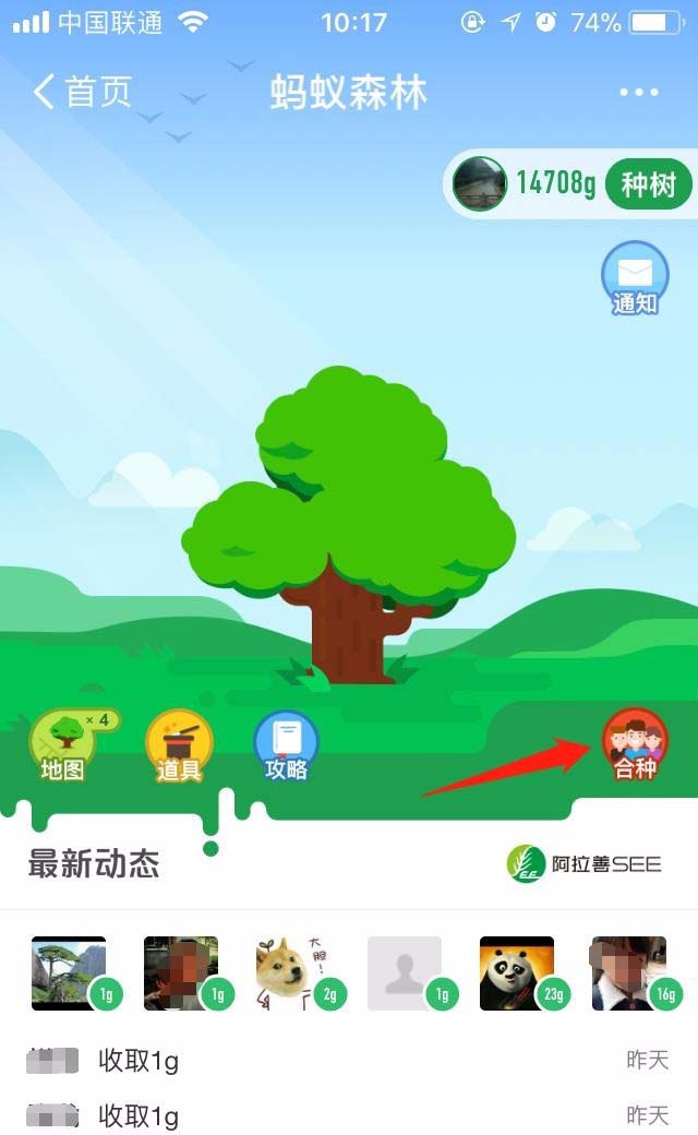 支付宝蚂蚁森林怎么与好友合种一棵树?