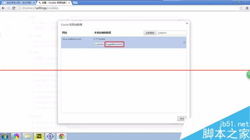 chrome浏览器设置删除指定网站的指定cookie缓存的详细教程