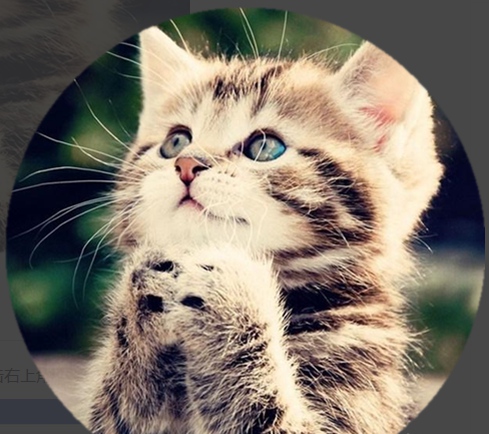 美图秀秀如何对图片进行圆形抠图?