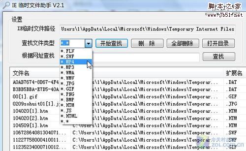 IE 临时文件助手 分类查找IE临时文件