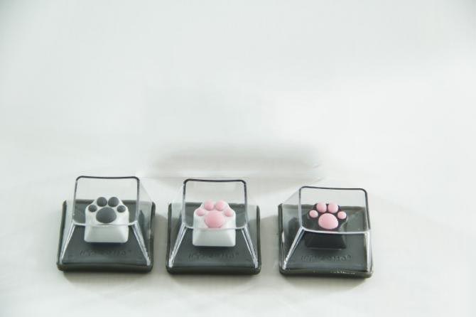 520快来了你懂的 ZOMO猫爪键帽三件套上手评测揭晓