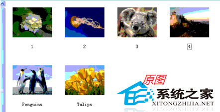 WinXP缩略图显示异常的原因及解决方法