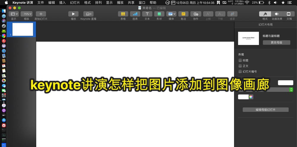 keynote讲演文件怎么将图片添加到图像画廊?