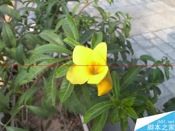 戴尔Dell Venue 8平板评测