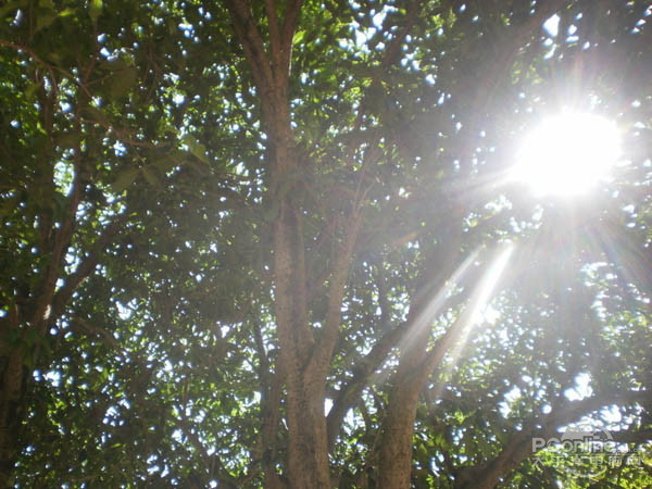 办公又到难捱时 喷墨打印机在夏季保养的一些小技巧