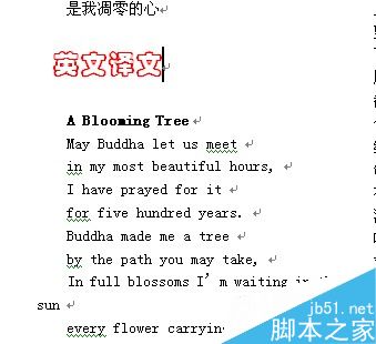 word文档如何排版才能美观大方?