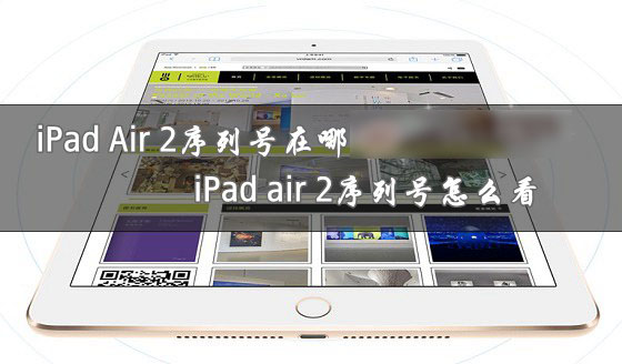 iPad Air 2序列号在哪里？iPad air2序列号查看方法图文介绍
