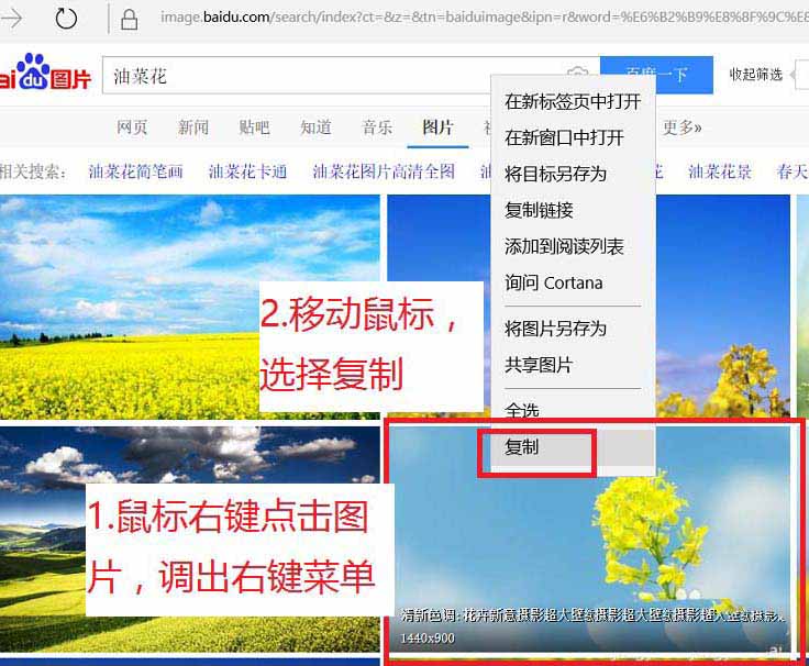 edge浏览器怎么找图并获取复制链接?