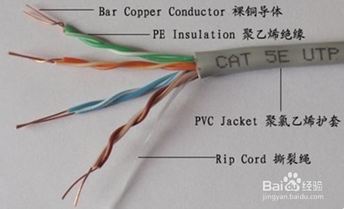 一根网线可以当网线也可以当电话线使用的制作方法
