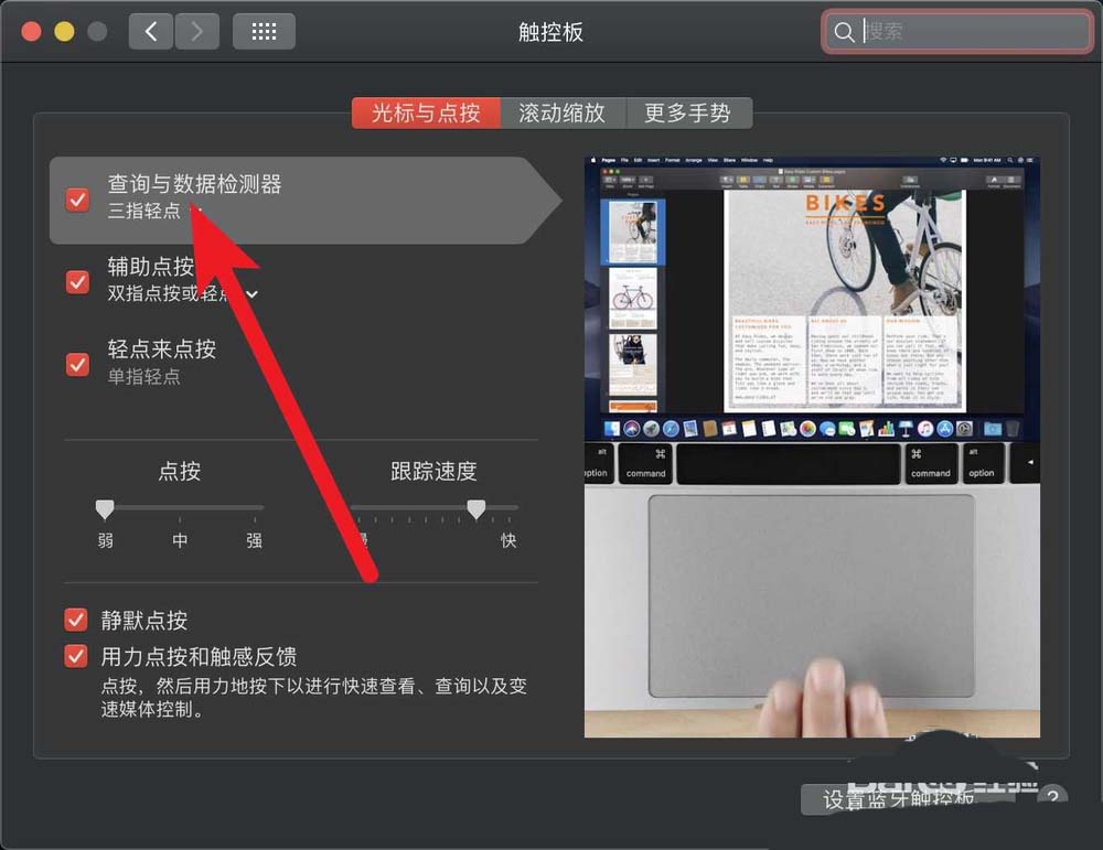 苹果macbook air笔记本自带的词典怎么使用?