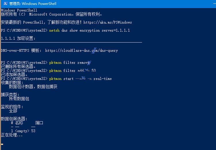 如何启用Win10的DNS over HTTPS功能提升隐私安全