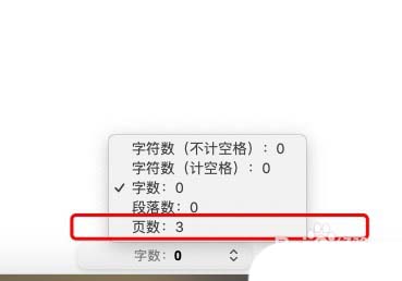 pages怎么快速查看文件一共有多少页数?