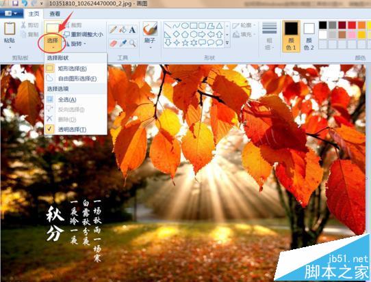 windows自带的画图工具怎么剪切调整图片大小?