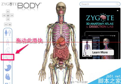 人体浏览器是什么？谷歌人体浏览器的使用方法