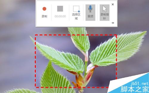 用PowerPoint2016 录制屏幕录像功能来录制软件