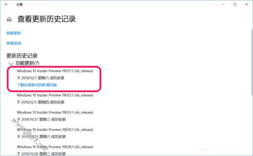 Win10 20H1快速预览版19037.1怎么手动更新升级?