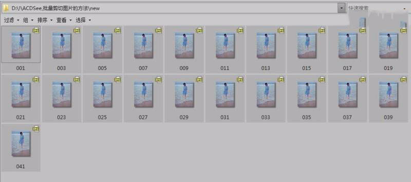 ACDSee Pro 6.0批量裁剪/批量剪切图片教程