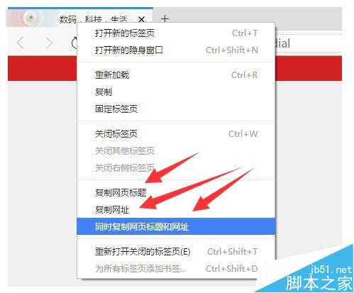 电脑版旗鱼浏览器1.0 Beta2 公测版发布 内附下载