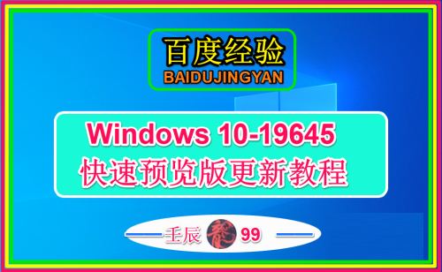 Win10 19645快速预览版怎么手动更新