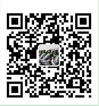 微信升级5大功能  汽车年检可预约，市民可实时处理事故
