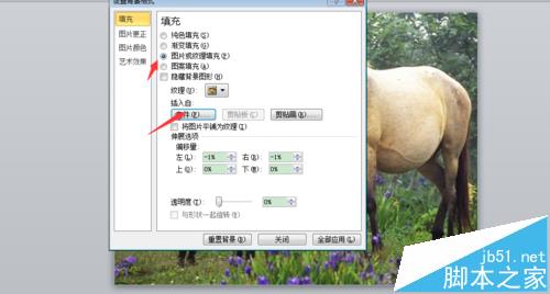 PPT怎么制作戴上望远镜看图片的效果?