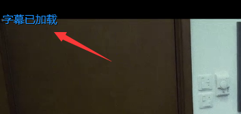 爱奇艺万能播放器字幕怎么手动添加?