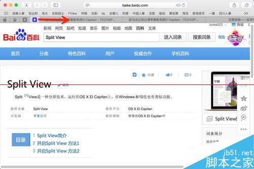 Mac怎么使用Safari一键静音和网页标签固定功能？