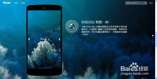 国内怎么上Flickr网站?Flickr打不开,图片显示不了怎么解决?