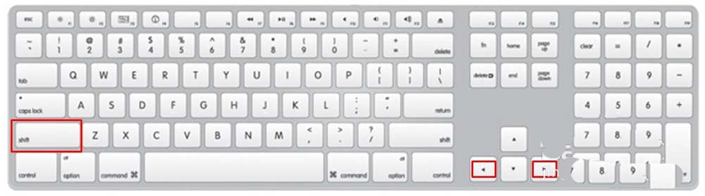 PowerPoint怎么调整图片尺寸 三种方法快速调节图片大小