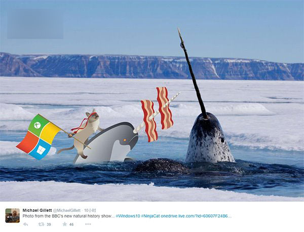 多图:新版Win10忍者猫已经被众网友玩坏了